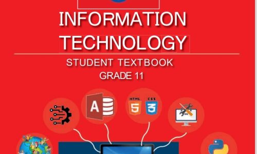 ICT grade 11