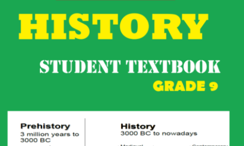 HISTORY GRADE 9 WORK SHEET