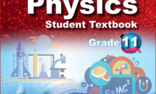 PHYSICS Grade 11 Worksheet