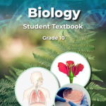 Biology grade 10 worksheet