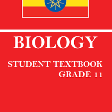 bio g11 images